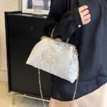 Women's Handbag Clutch Dome Bag Clutch Bags Synthetic Party - Image 16