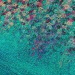 Women's Artistic Floral Print Crossbody Bag - Vibrant - Image 5